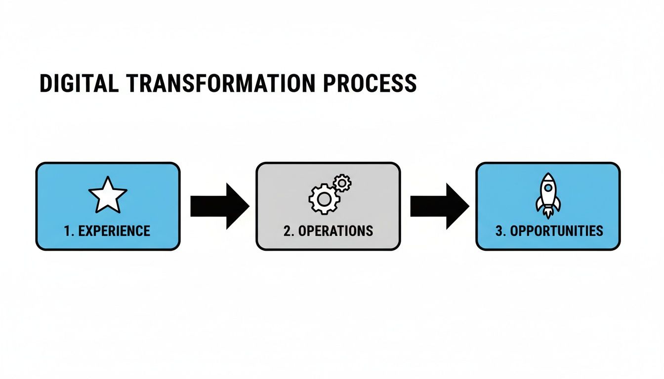 A flowchart illustrates the digital transformation process, detailing steps for Experience, Operations, and Opportunities.