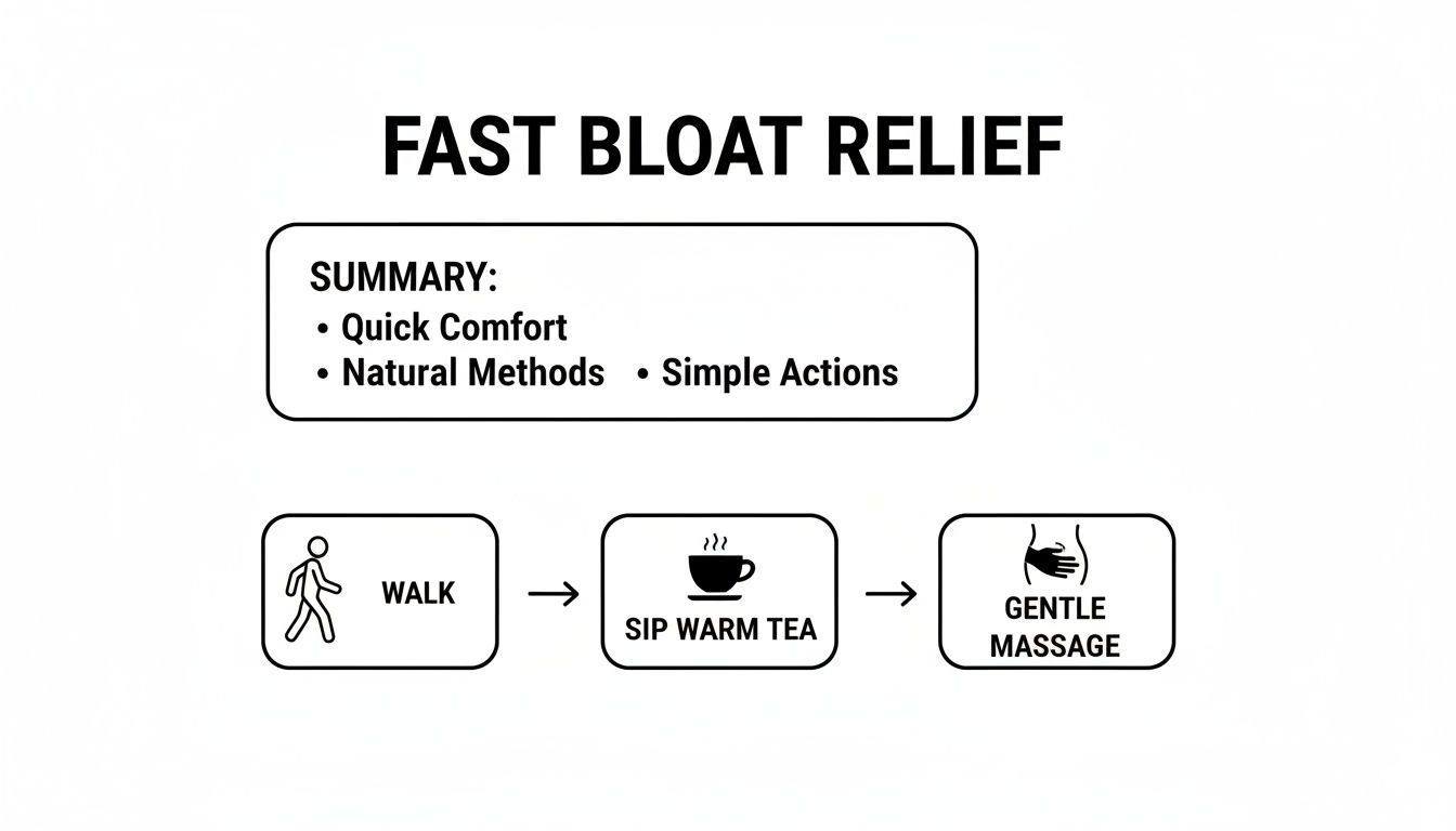 Infographic showing fast bloat relief summary with steps: walk, sip warm tea, and gentle massage.