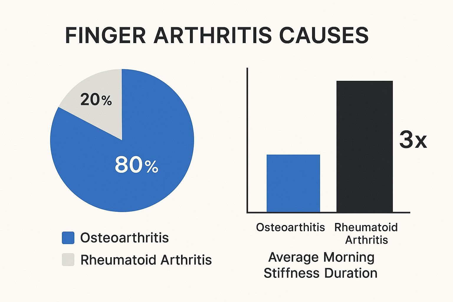 Infographic showing that osteoarthritis is more common than rheumatoid arthritis, but RA causes longer morning stiffness.