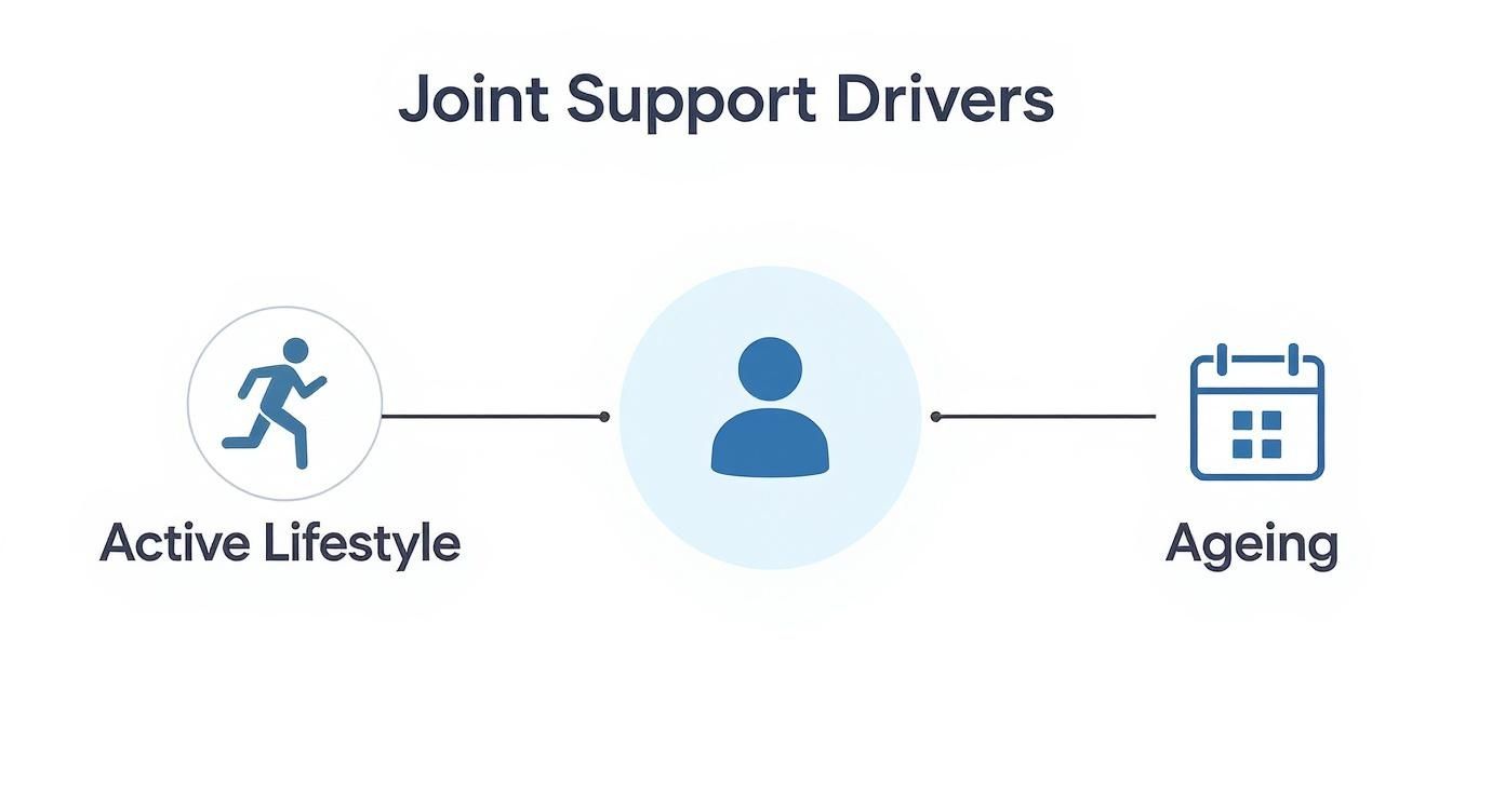 Infographic about best joint supplements
