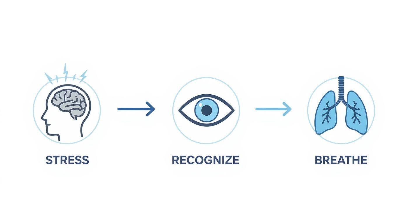 Three-step stress management process showing brain under stress, recognition through observation, and deep breathing technique with lungs