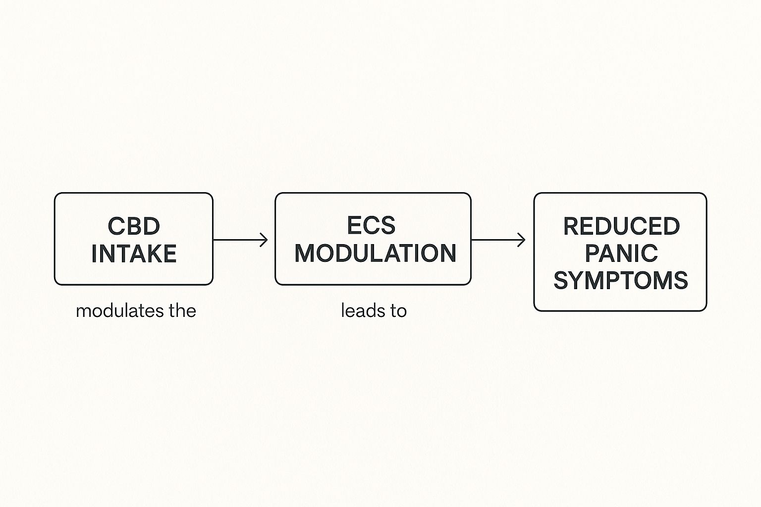 Infographic about cbd for panic attacks