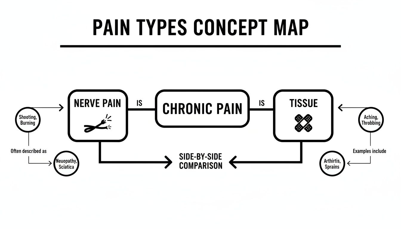A concept map illustrating Nerve Pain and Tissue Pain, types of Chronic Pain, with symptoms and examples.