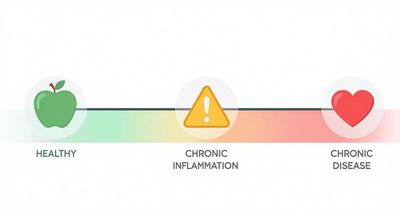Infographic about how to reduce inflammation in the body