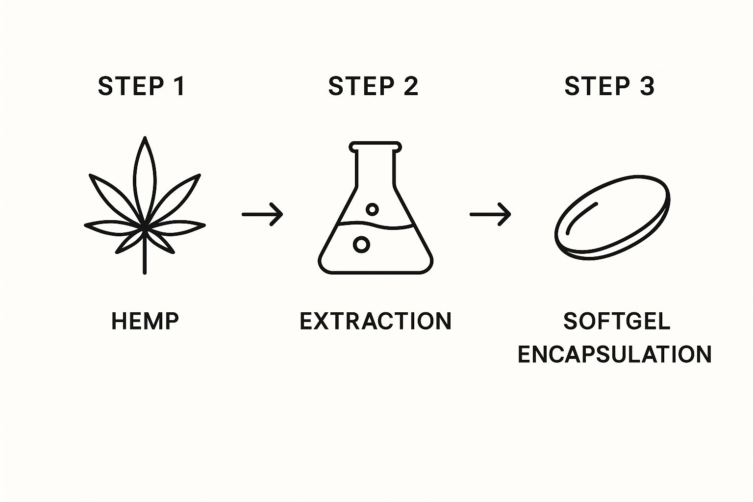 Infographic about cannabinoid oil capsules