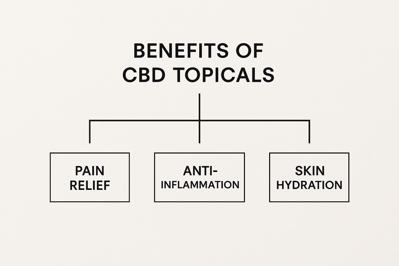 Infographic about cbd topical