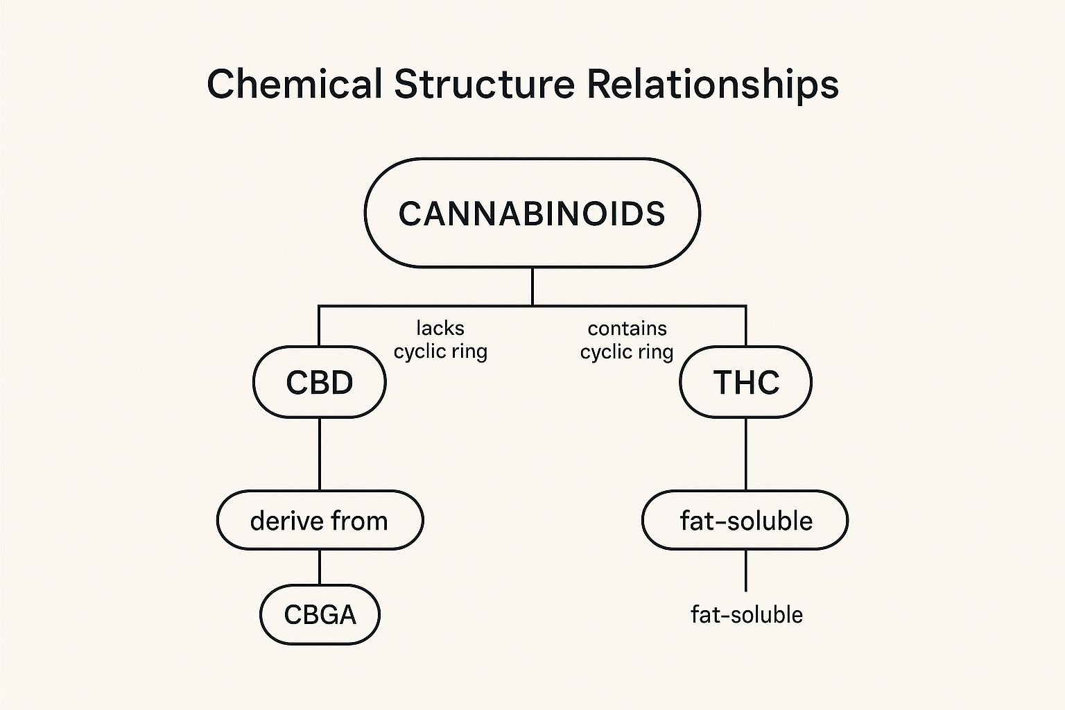 Infographic showing key data about Chemical Structure and Composition