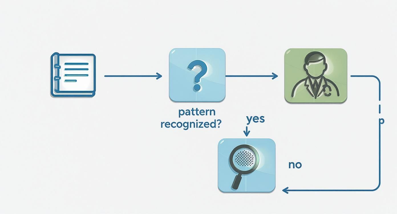 Entscheidungsbaum, der zeigt, wie man basierend auf einem Ernährungstagebuch vorgeht, um eine Nahrungsmittelunverträglichkeit zu testen.