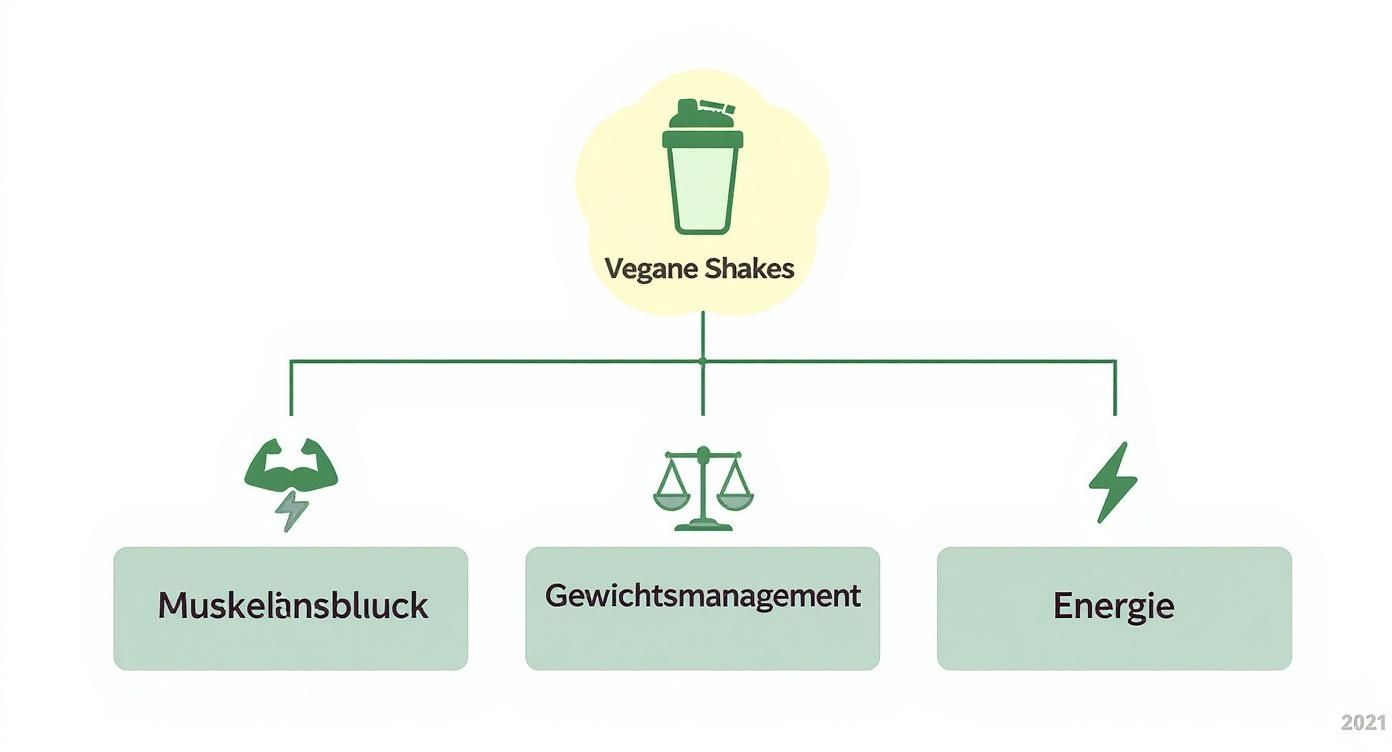Infographic about vegan protein shake