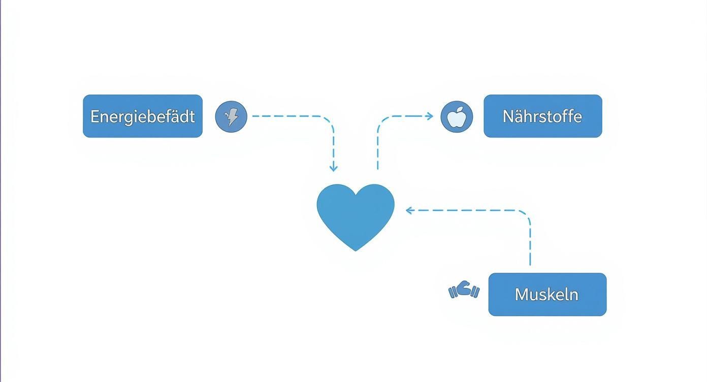 Infographic about ernährung im alter