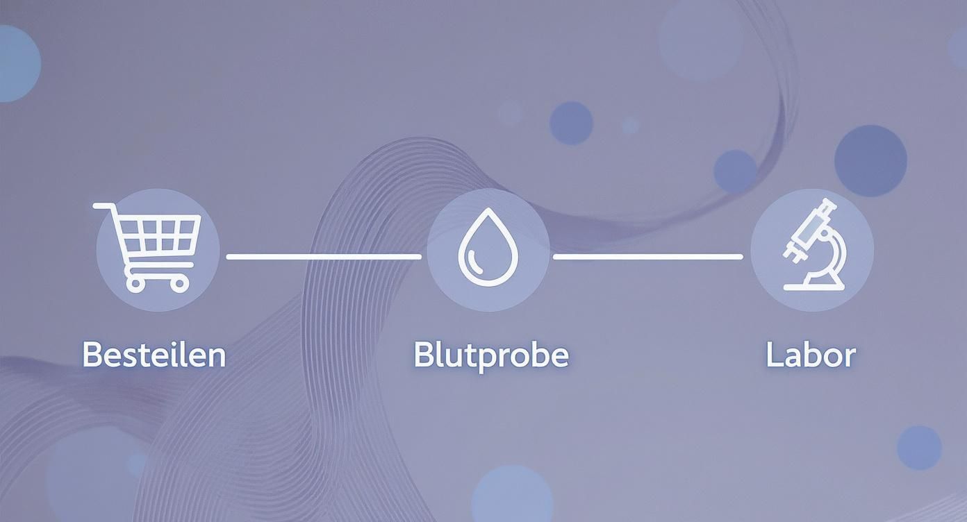 Infografik mit drei Schritten: Bestellen (Warenkorb), Blutprobe (Blutstropfen), Labor (Mikroskop) für einen Selbsttest.