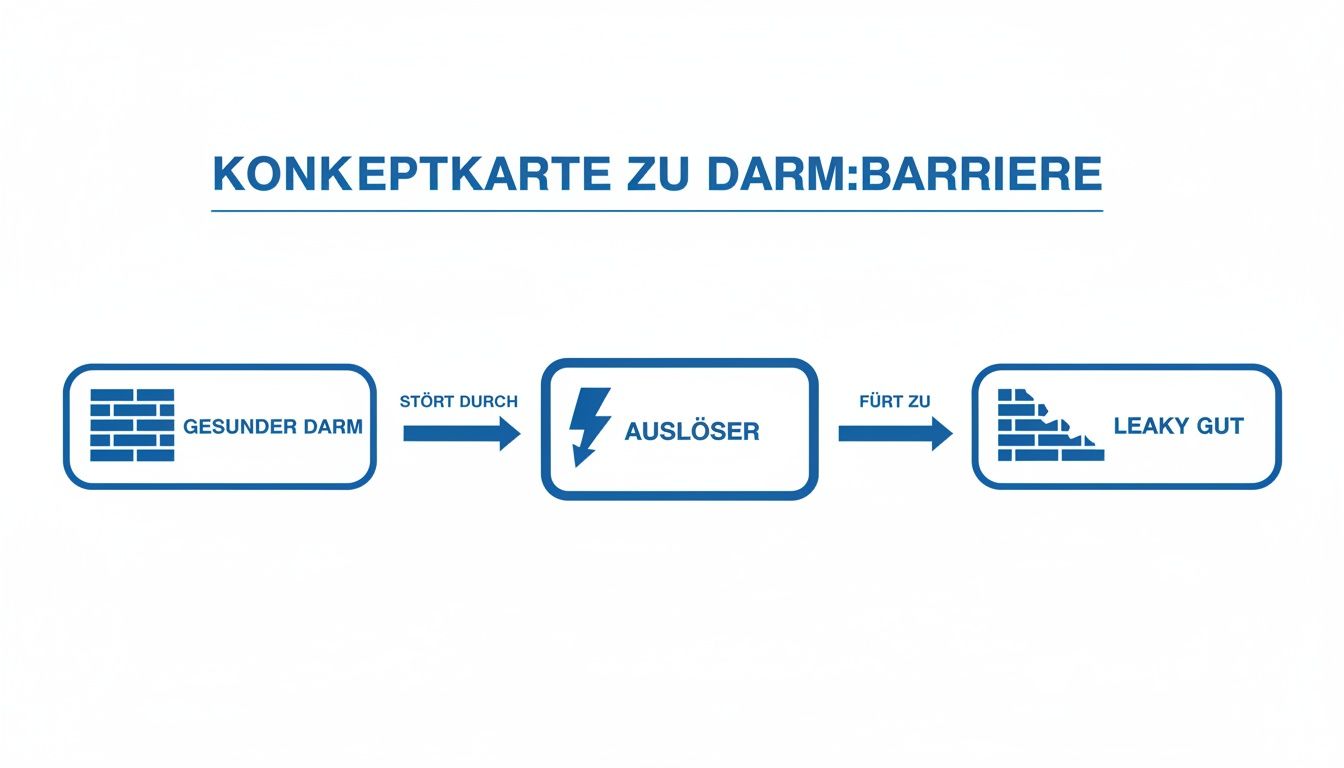 Konzeptkarte, die den Übergang von einem gesunden Darm zu einem undichten Darm durch einen Auslöser darstellt.