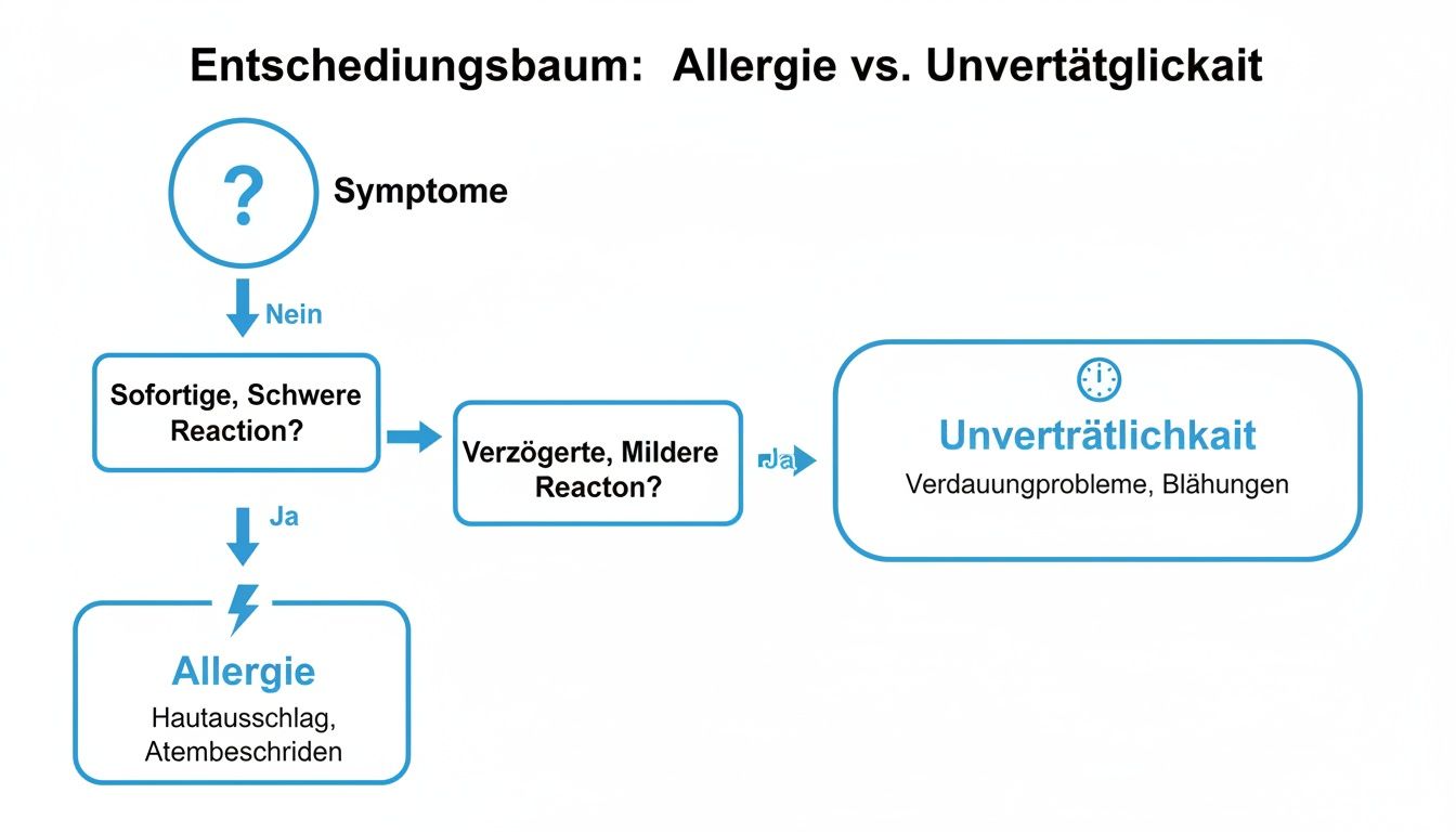Ein Entscheidungsbaum, der den Unterschied zwischen Allergie und Unverträglichkeit anhand von Symptomen erklärt.