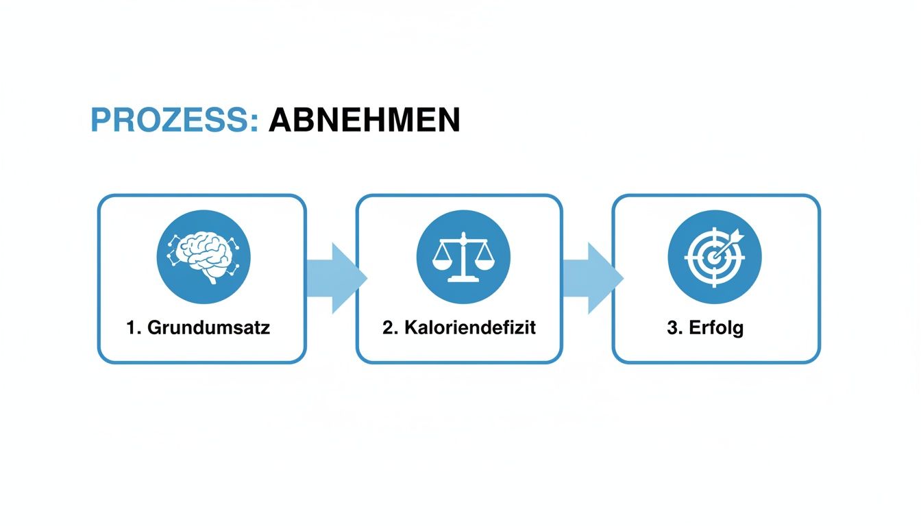 Flussdiagramm zum Abnehmen, das Grundumsatz, Kaloriendefizit und Erfolg als Schlüsselschritte zeigt.