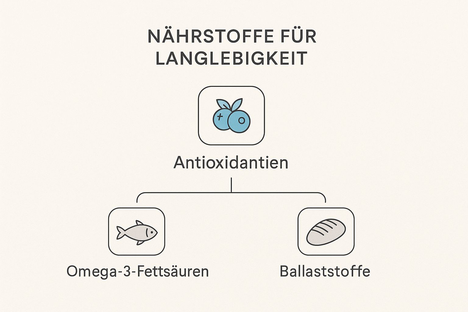 Infografik über Longevity-Nährstoffe mit Icons für Antioxidantien, Omega-3 und Ballaststoffe