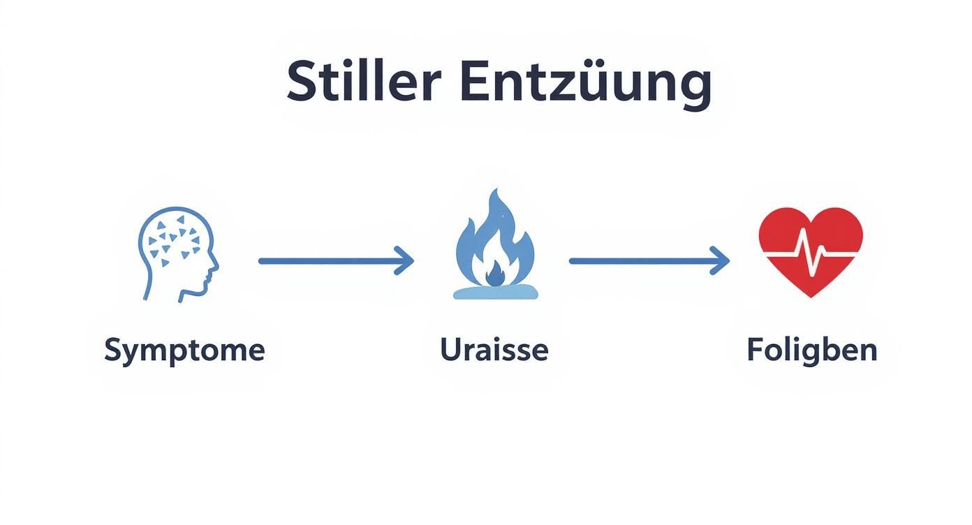 Schema zur stillen Entzündung: Symptome führen zu chronischer Entzündung und ihren gesundheitlichen Folgen.