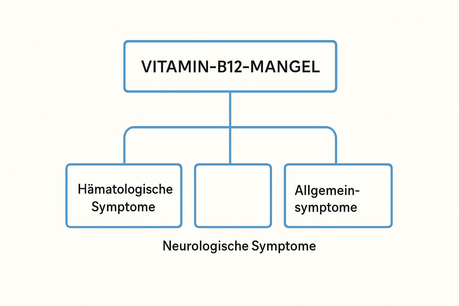 Infografik zu den Symptomen eines Vitamin-B12-Mangels