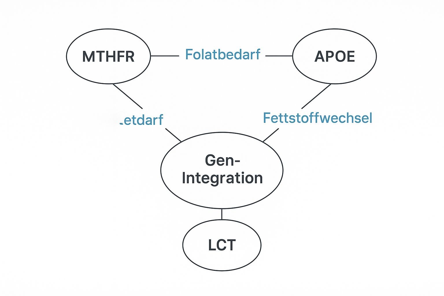 Infografik, die die Verbindung zwischen Genvarianten und Nährstoffbedarf darstellt