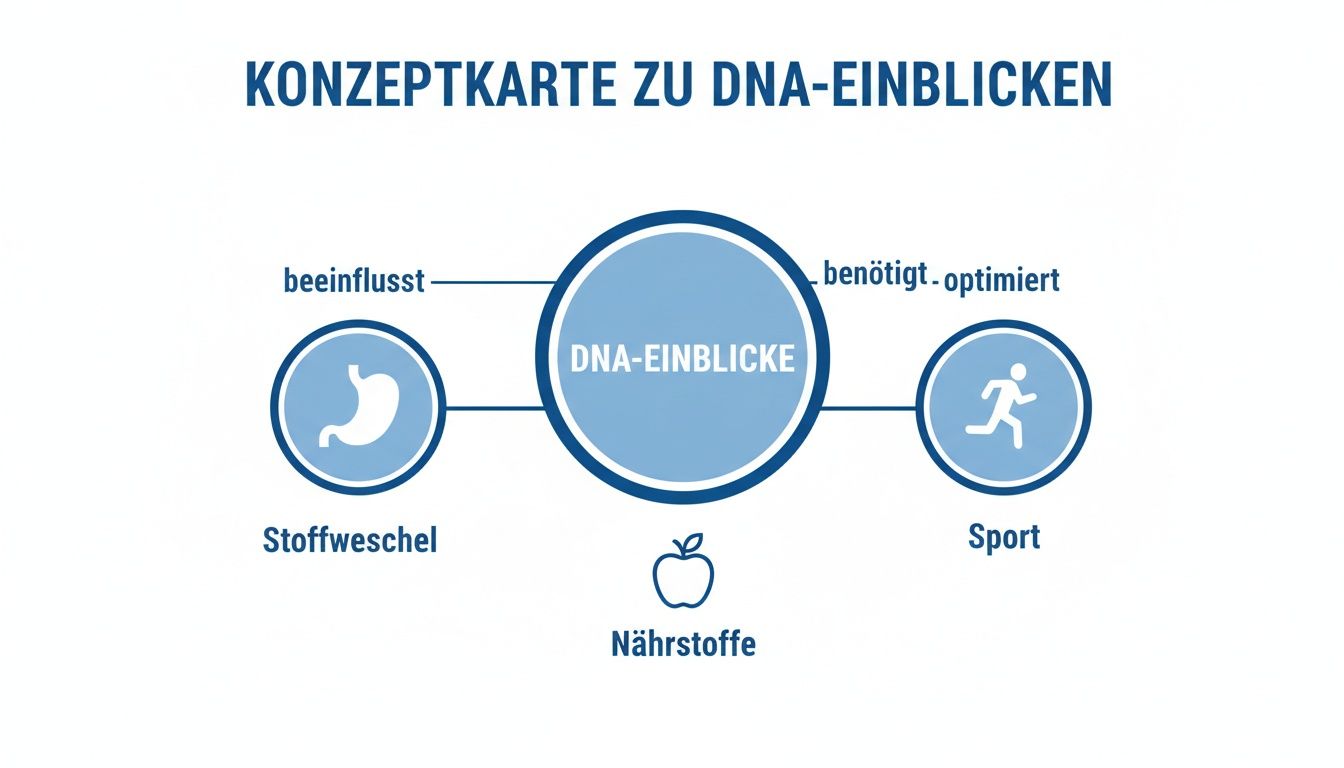 Konzeptkarte zu DNA-Einblicken, die den Einfluss auf Stoffwechsel und Sport sowie die Bedeutung von Nährstoffen zeigt.