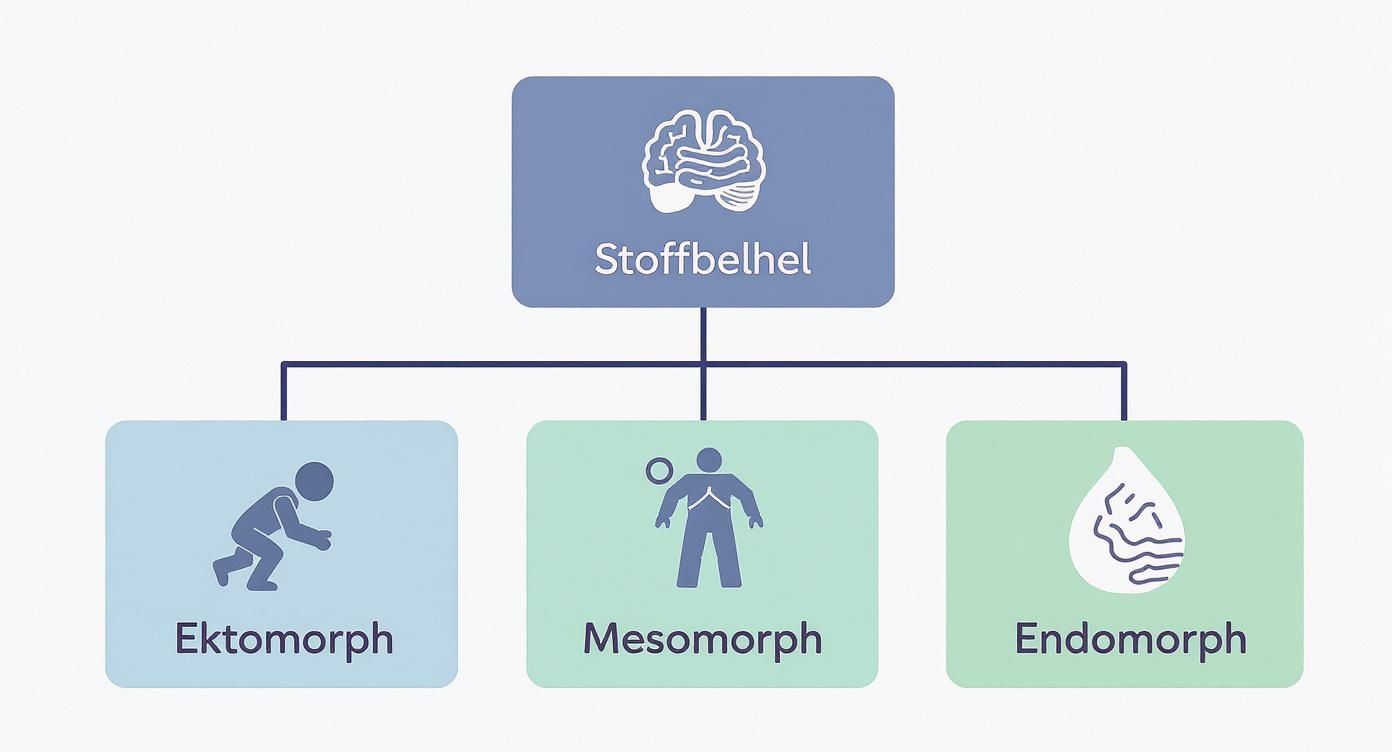 Infographic about welcher stoffwechseltyp bin ich