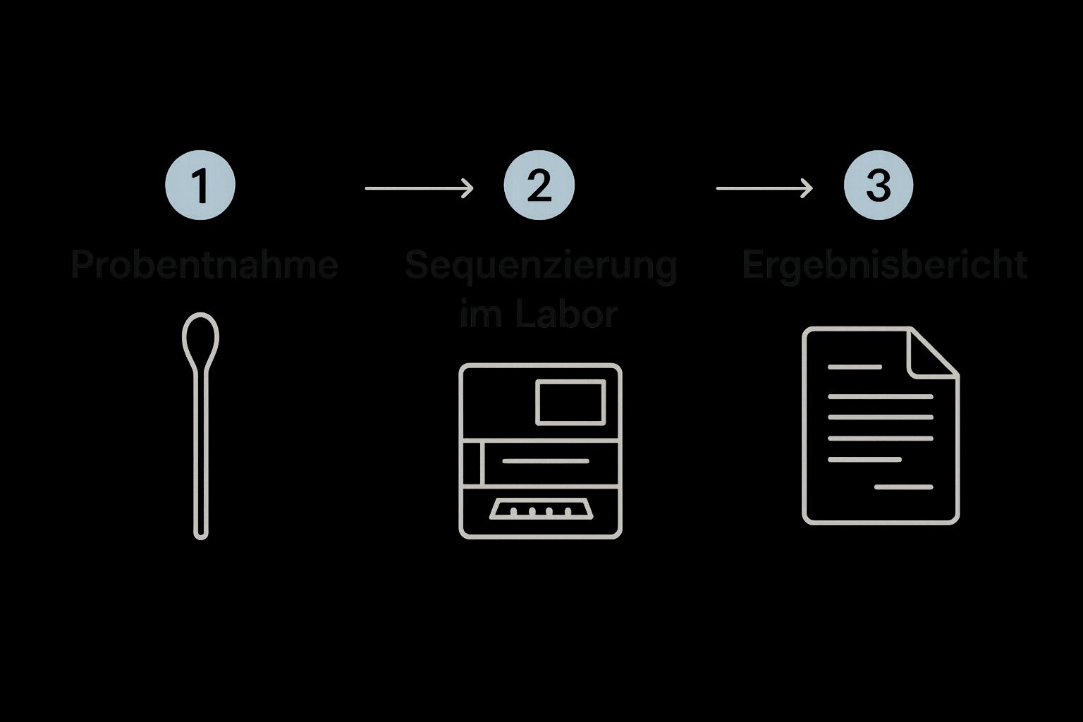 Infografik zum Ablauf eines Mikrobiom-Tests