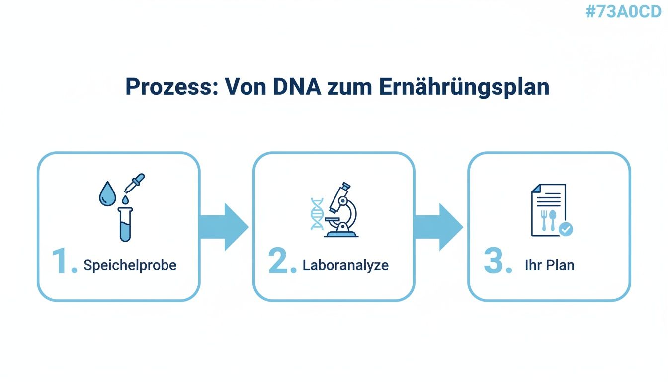 The infographic shows the three-stage process: saliva sample, laboratory analysis, and personalized nutrition plan based on DNA.