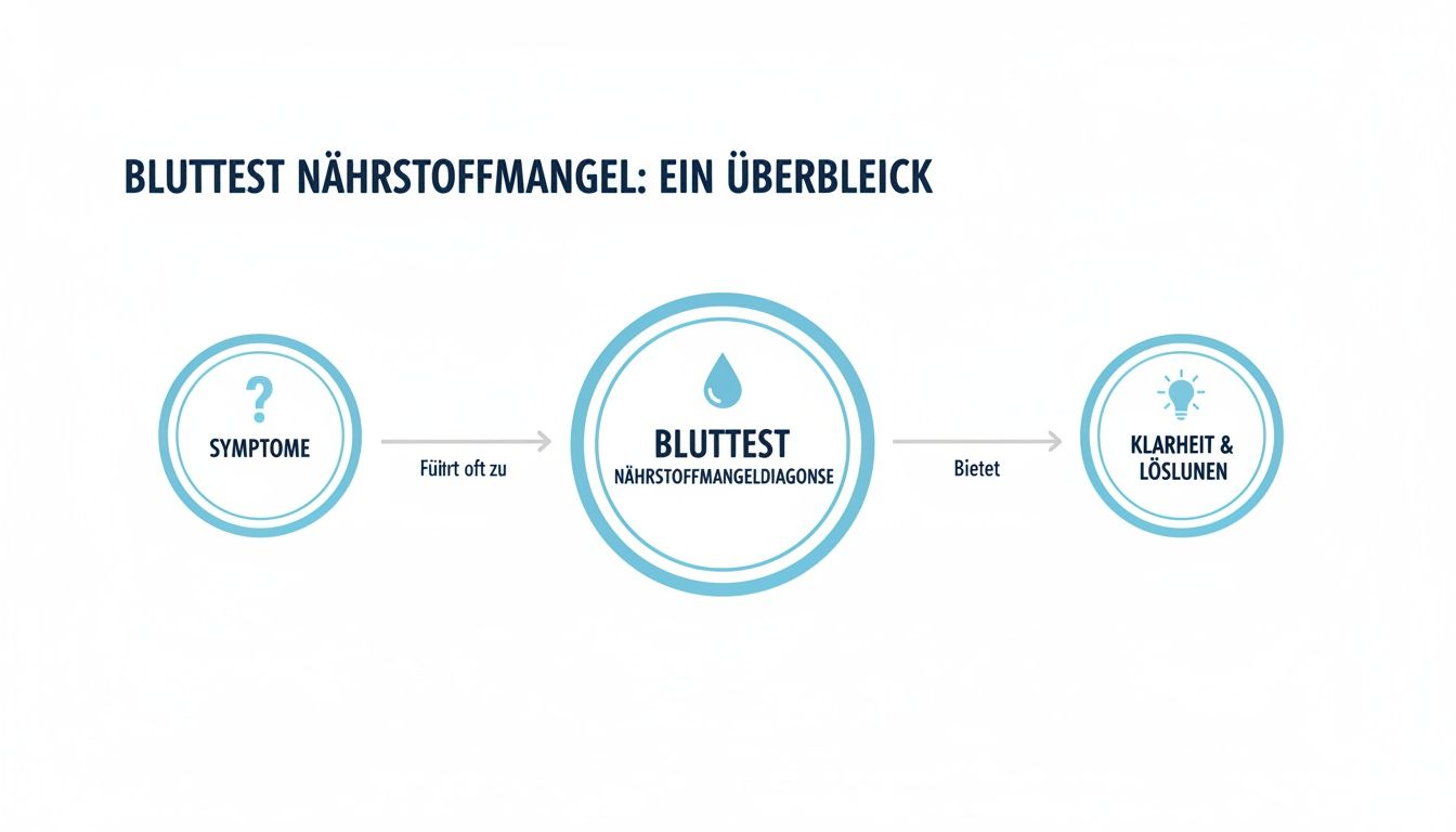 Übersicht zum Bluttest bei Nährstoffmangel: Von Symptomen über Diagnose zu Klarheit und Lösungen.