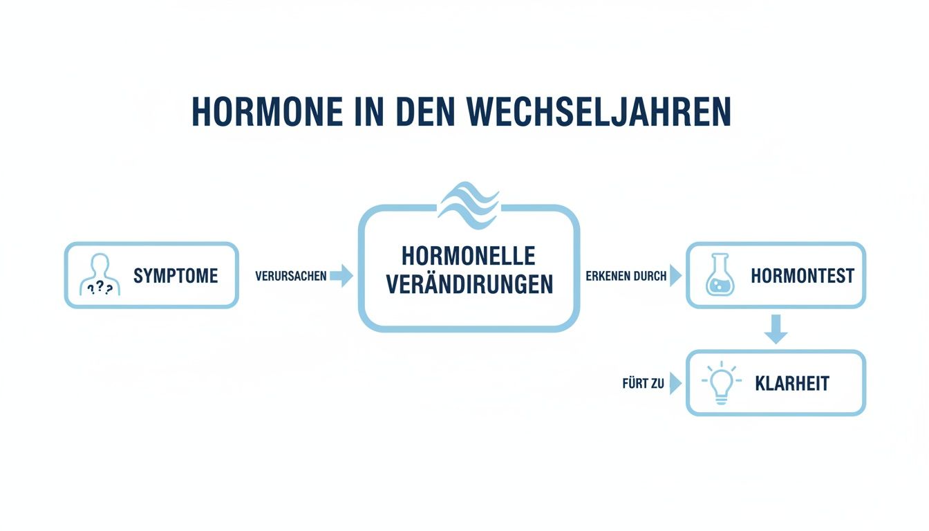 Infografik: Symptome in den Wechseljahren, hormonelle Veränderungen, Hormontest und Klarheit als Lösung.