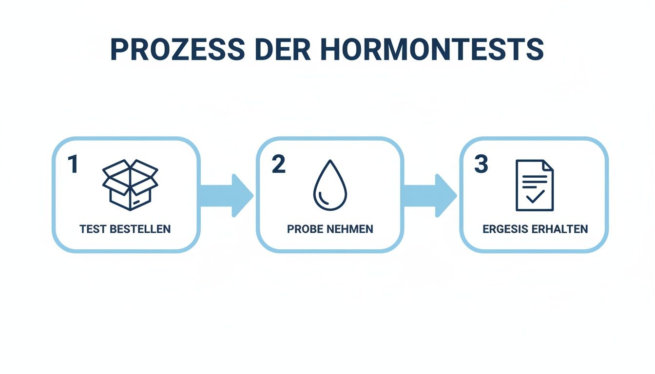 Infográfico: Processo dos testes hormonais em três etapas – pedir o teste, coletar a amostra, receber os resultados.
