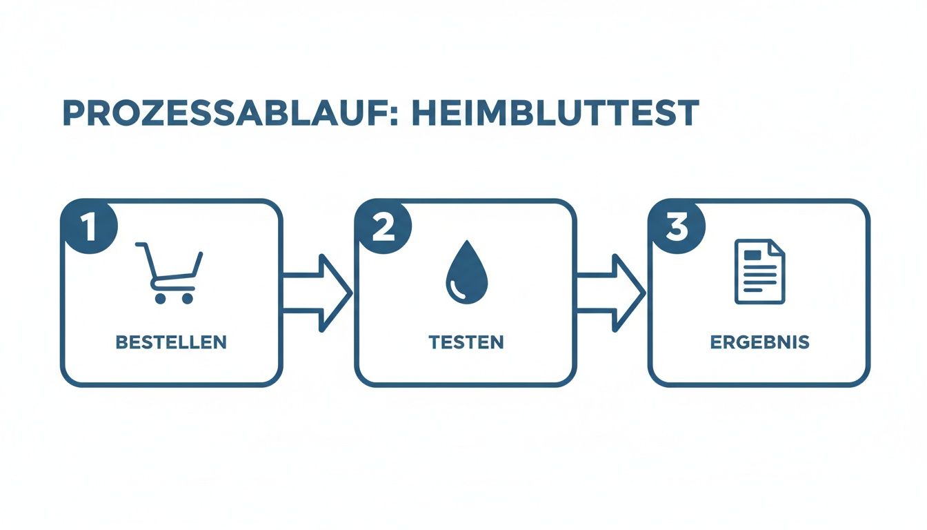 Ablauf eines Heimbluttests in drei Schritten: Bestellen, Testen des Bluts und Ergebnis erhalten.