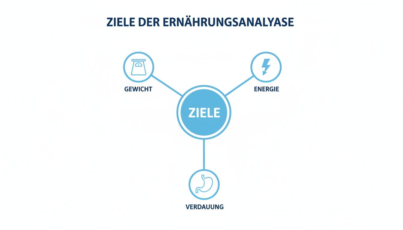Diagramm zeigt die Ziele der Ernährungsanalyse: Gewicht, Energie und Verdauung als zentrale Aspekte.