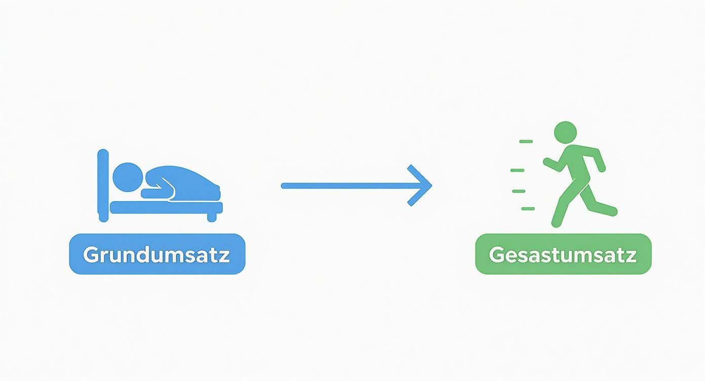 Illustration des Grundumsatzes (ruhende Person im Bett) im Vergleich zum Gesamtumsatz (aktive, laufende Person).