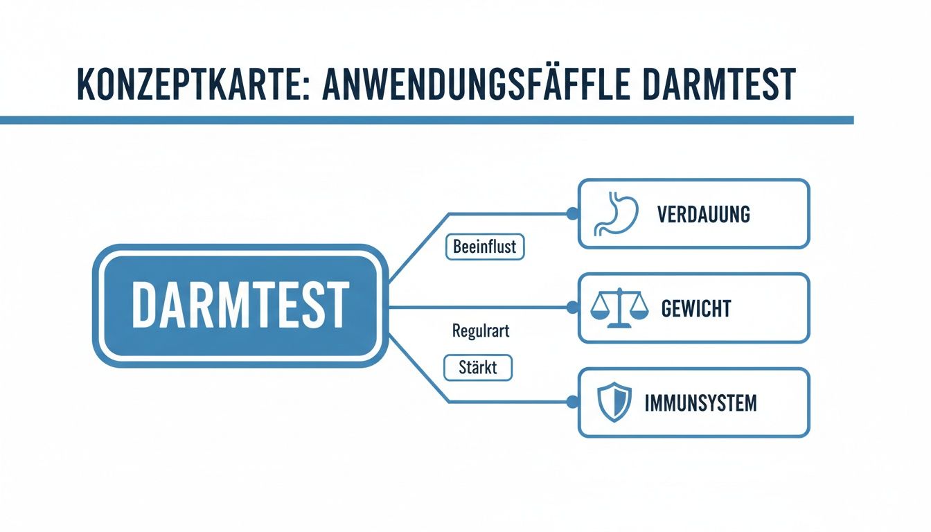 Konzeptkarte zu Darmtest-Anwendungsfällen, die Verdauung, Gewicht und Immunsystem beeinflussen und stärken.
