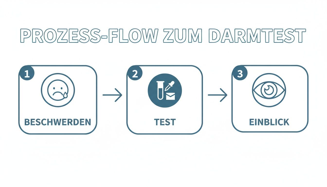Ein Diagramm, das den dreistufigen Prozess eines Darmtests darstellt: Beschwerden, Test und Einblick.