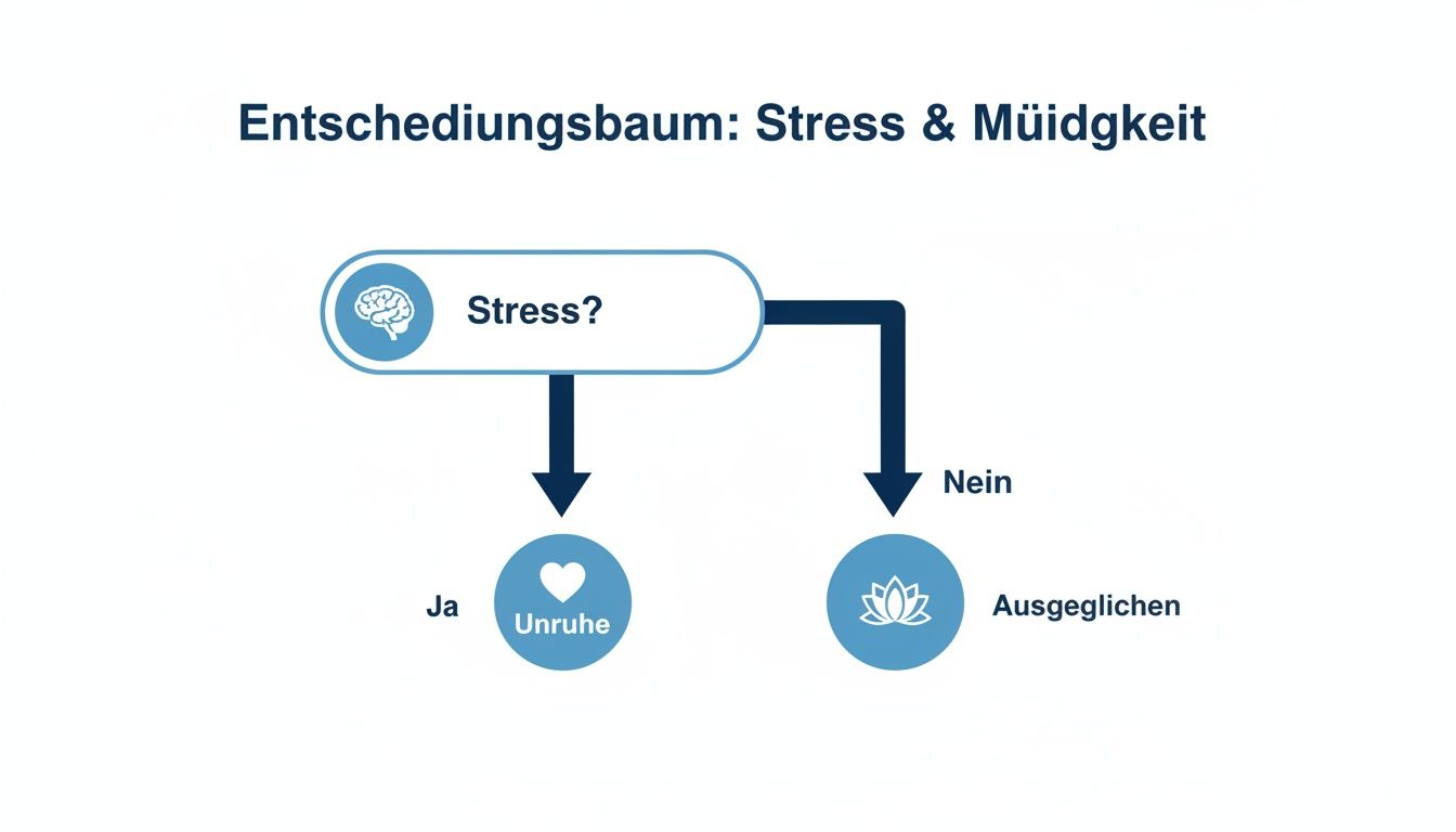 A decision tree about stress and fatigue, leading from stress? to restlessness (yes) or balance (no).