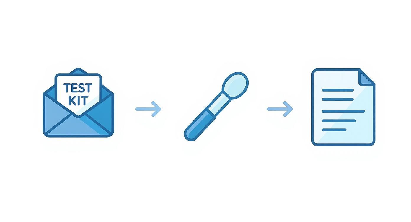 Infographic about dna test abnehmen erfahrungen