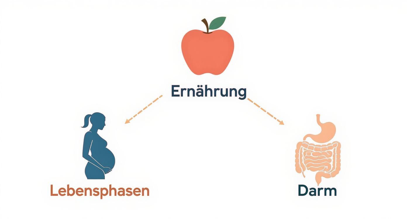 Infographic about eisen und vitamin b12-mangel symptome