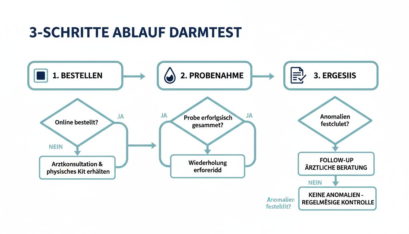Flussdiagramm zeigt den 3-Schritte Ablauf eines Darmtests: Bestellung, Probenahme und Ergebnis. Entscheidungsbäume leiten durch den Prozess.