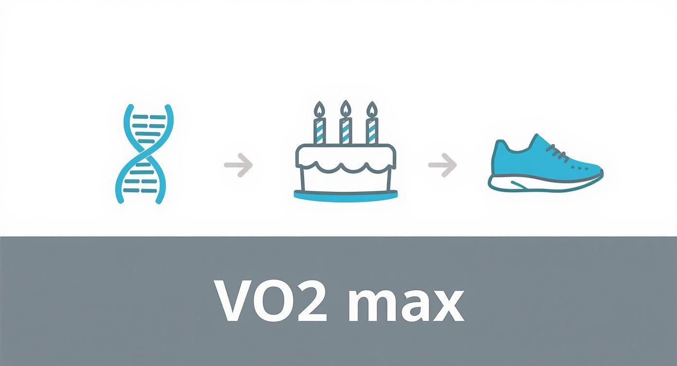 Infographic about vo2 max-wert verbessern
