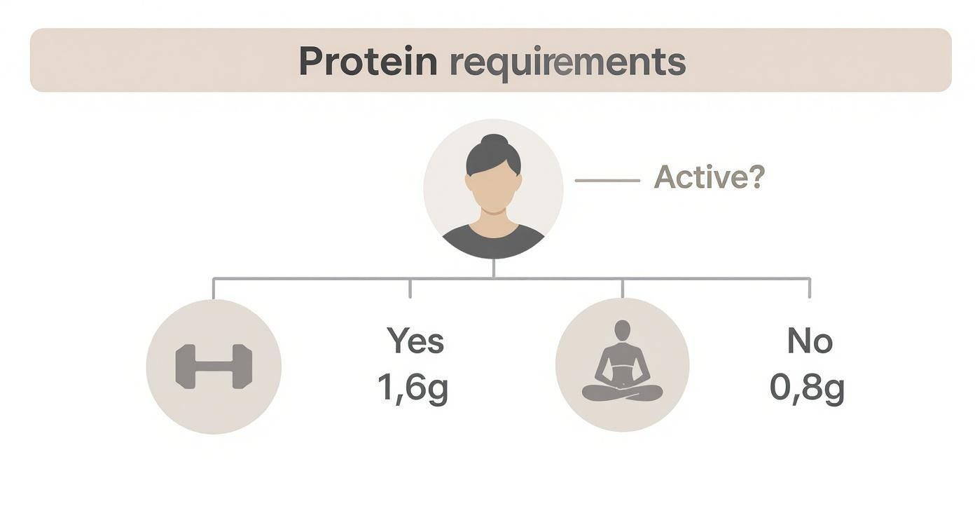 Infographic about eiweißbedarf frauen