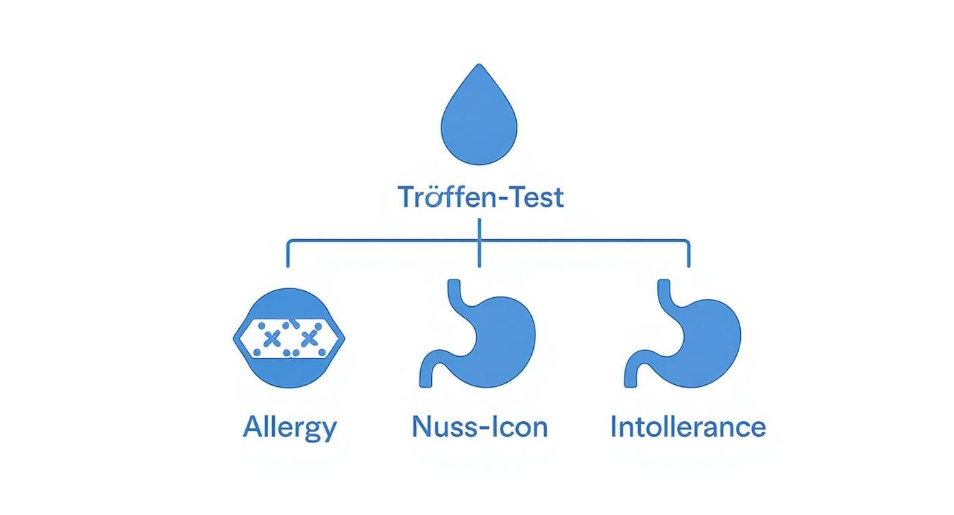 Diagramm eines Tröpfchen-Tests zur Erkennung von Allergien und Unverträglichkeiten, dargestellt mit Tropfen- und Magensymbolen.