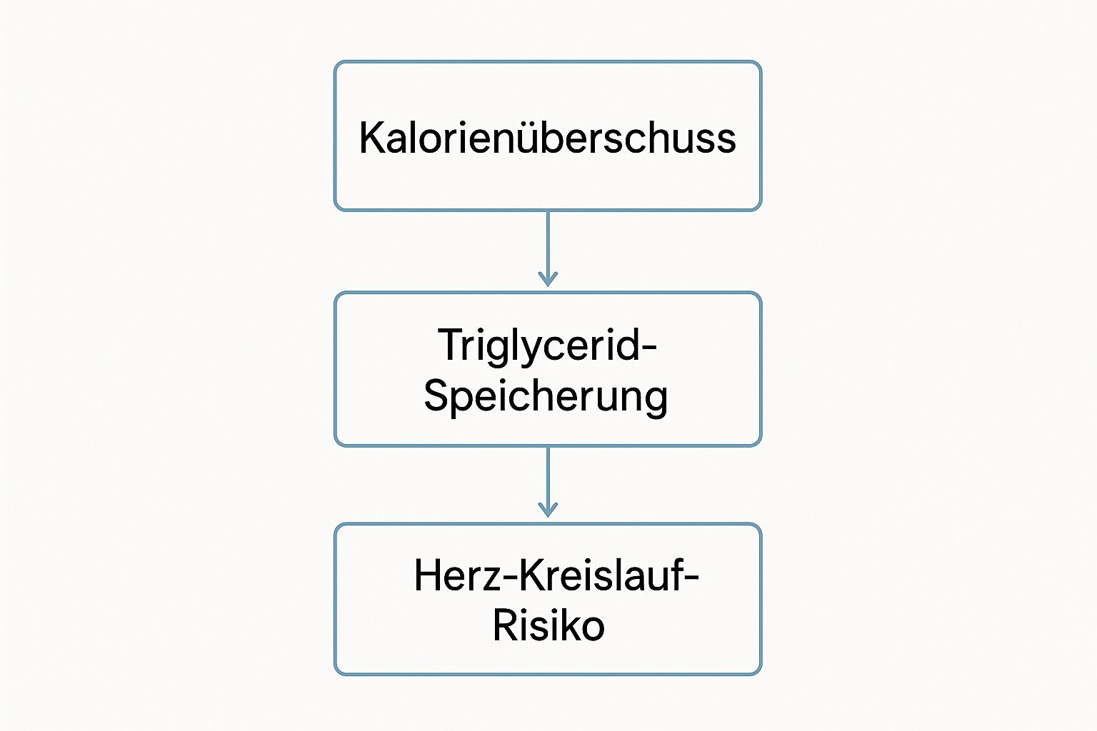 Infographic about triglyceride zu hoch