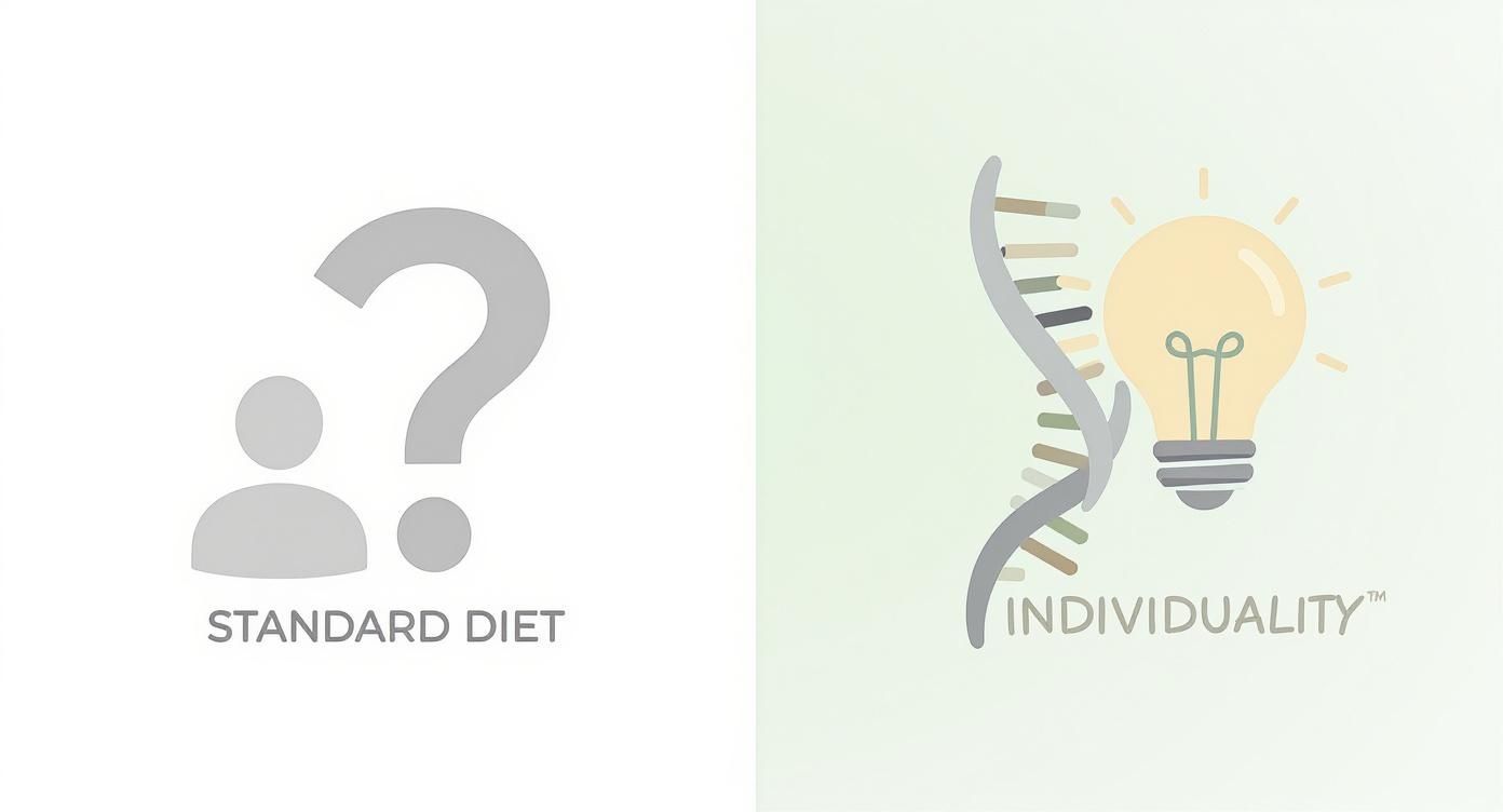Infographic about stoffwechseltest abnehmen