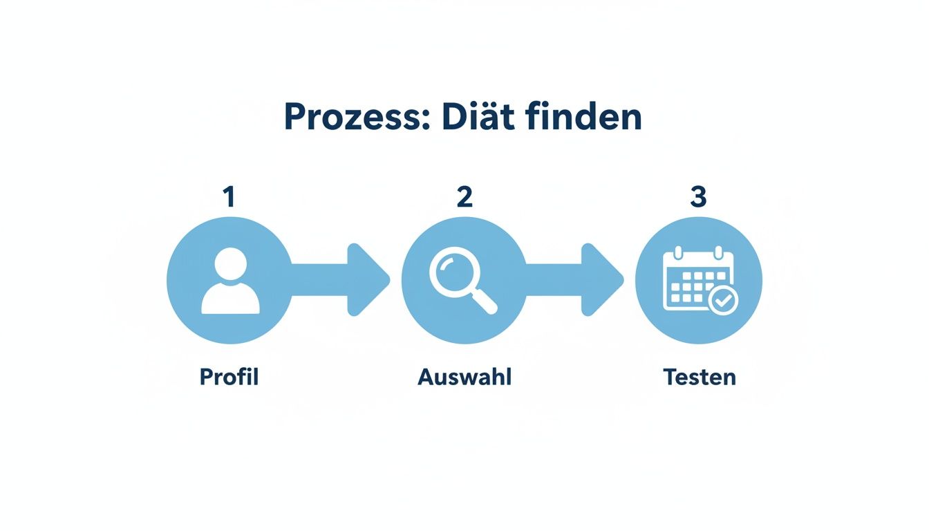Infografik: Ein drei-Schritt-Prozess zur Diätfindung, mit Profil, Auswahl und Testen.