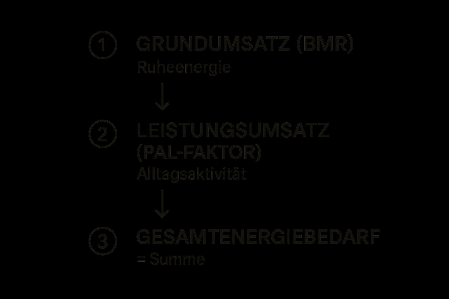 Infografik zur Berechnung des Kalorienbedarfs zum Abnehmen, die den Prozess von Grundumsatz über Leistungsumsatz zum Gesamtenergiebedarf zeigt