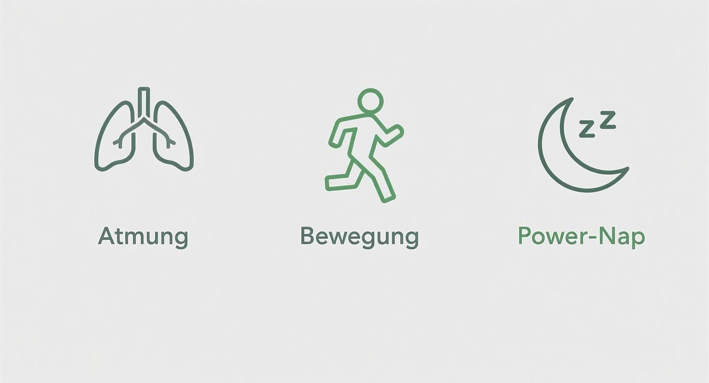 Infografik zu schnellen Energiekicks gegen Müdigkeit mit Symbolen für Atmung, Bewegung und Power-Nap
