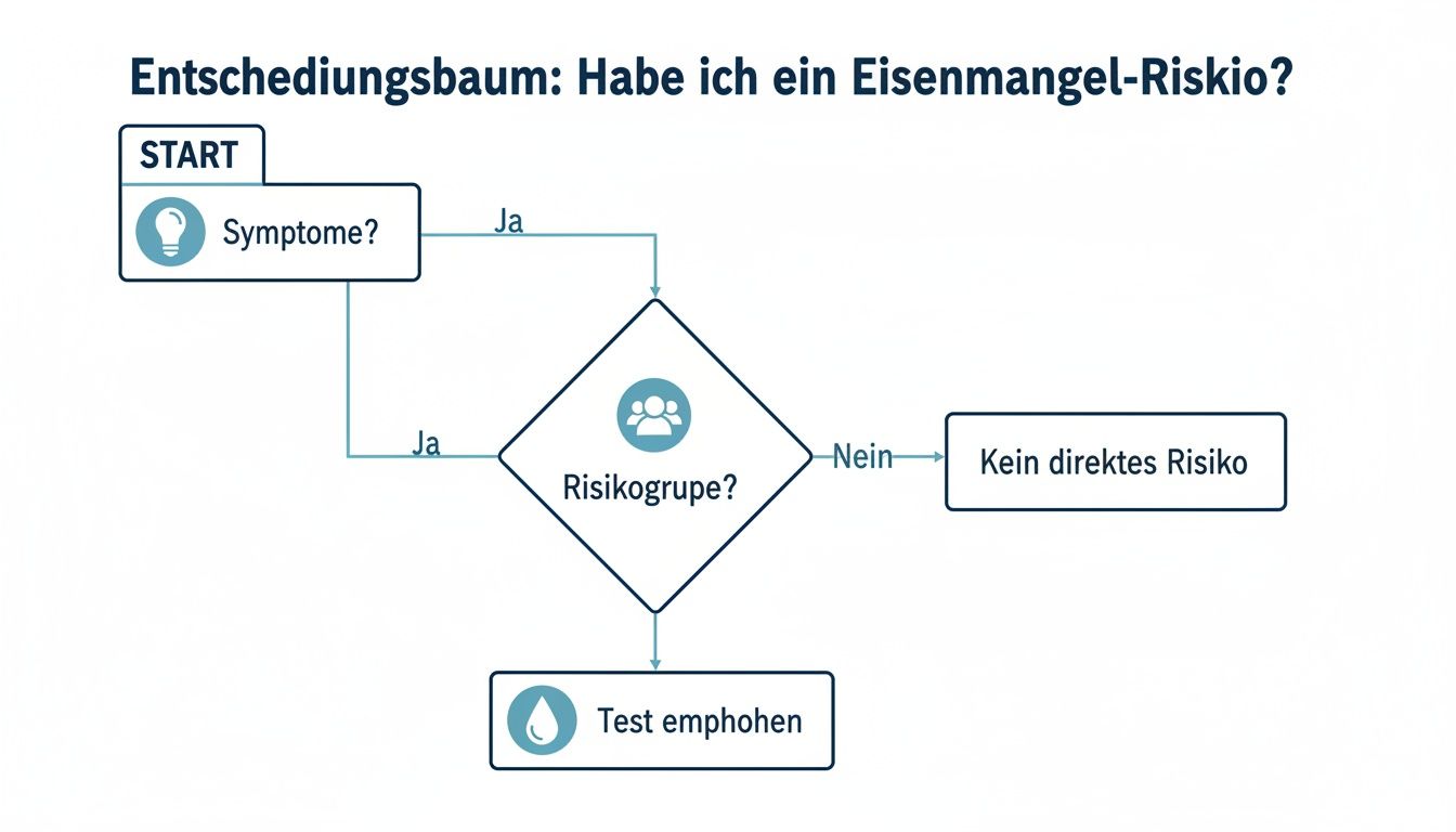 Entscheidungsbaum zur Bewertung des Eisenmangel-Risikos basierend auf Symptomen und Risikogruppe.