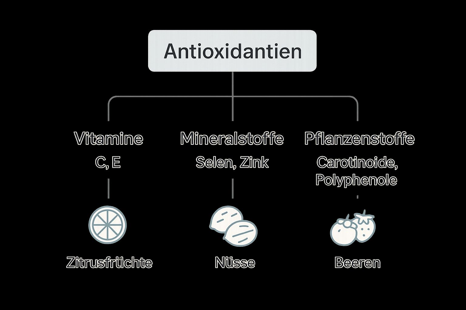 Infographic about antioxidative lebensmittel
