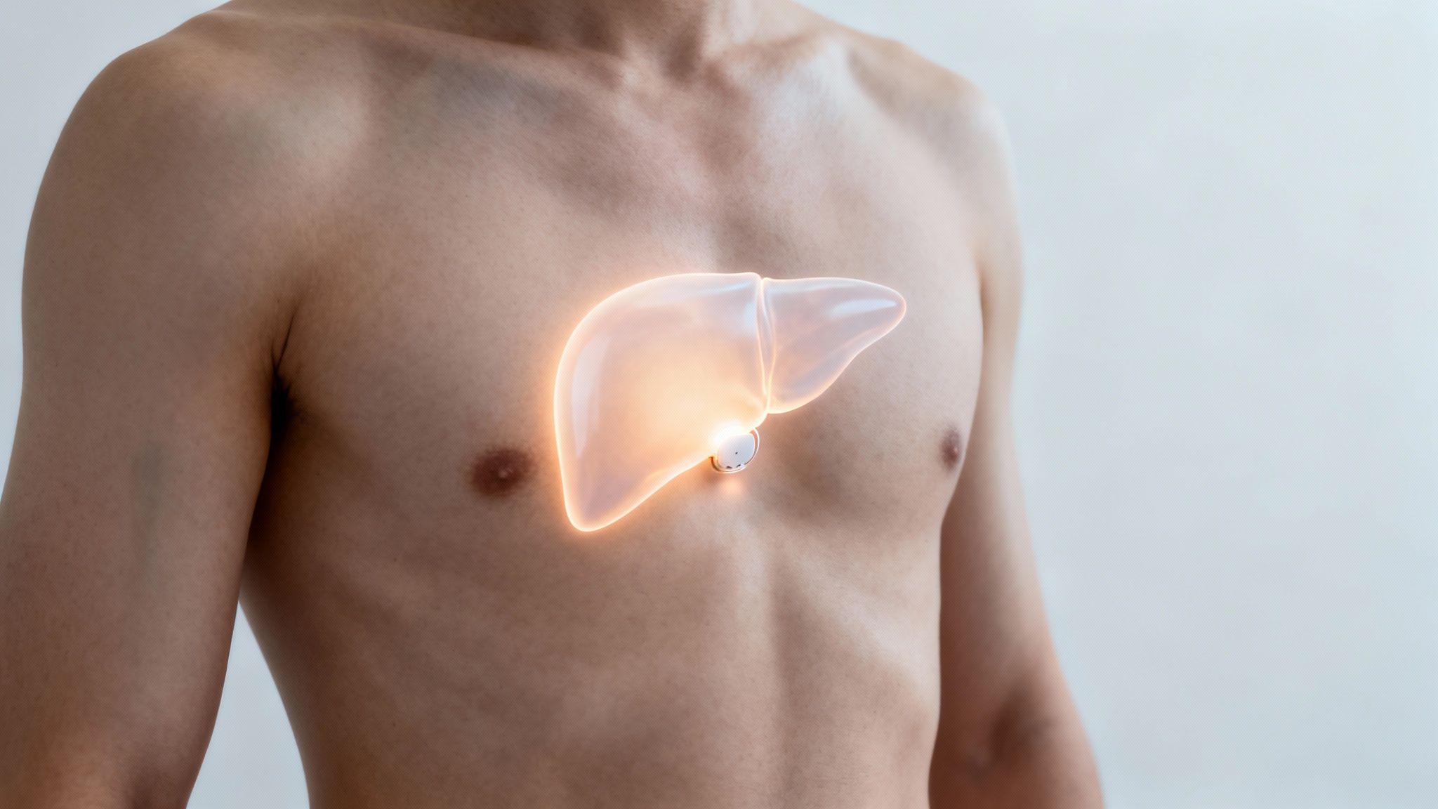 Männlicher Oberkörper mit digital dargestellter, leuchtender Leber als Symbol für Lebergesundheit.