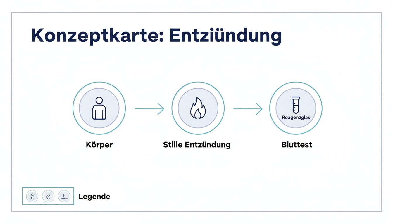 Konzeptkarte zur Entzündung: Visualisierung des Weges von Körper, stiller Entzündung zum Bluttest.